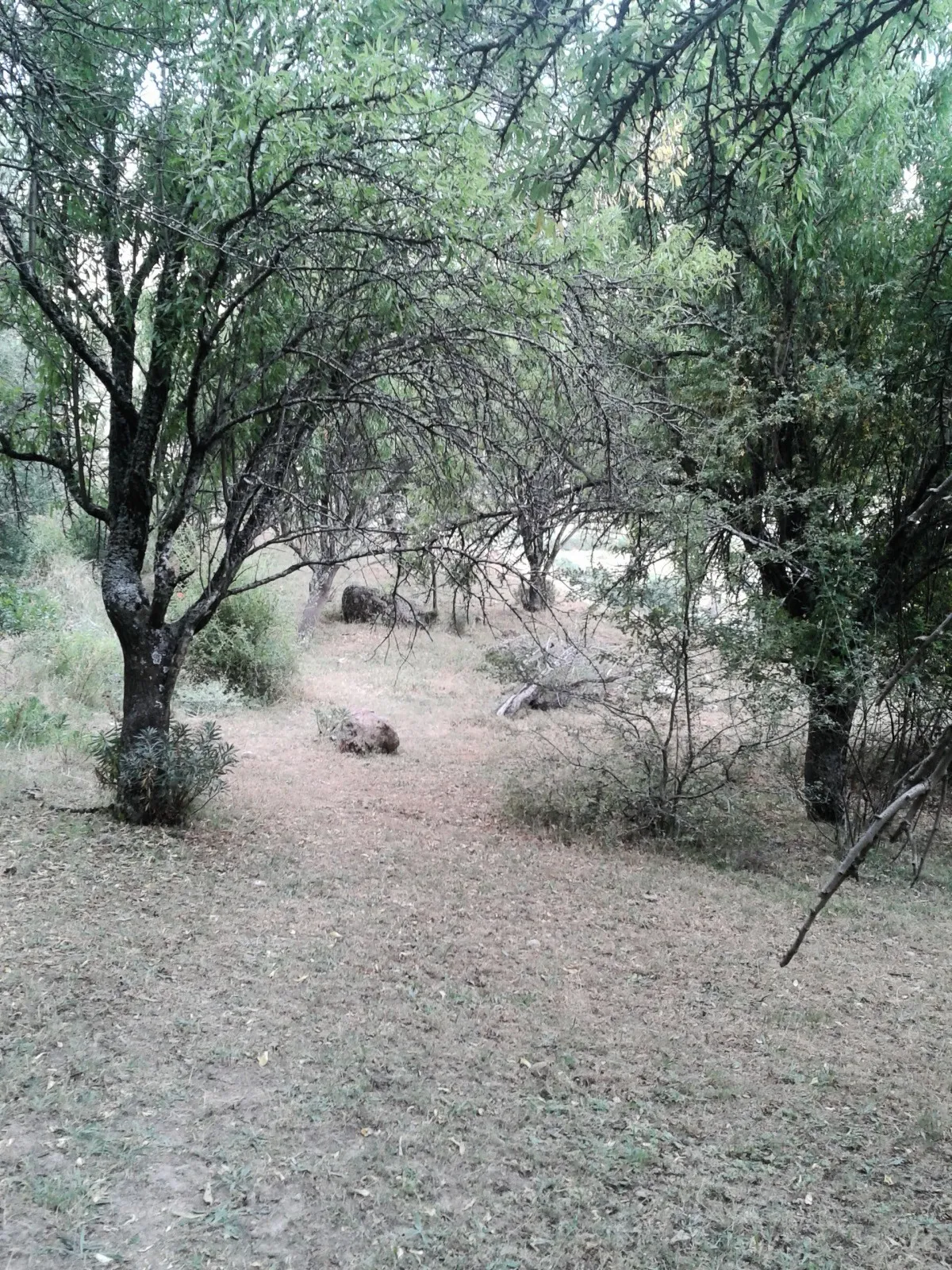 Camino a la Ermita de San Esteban