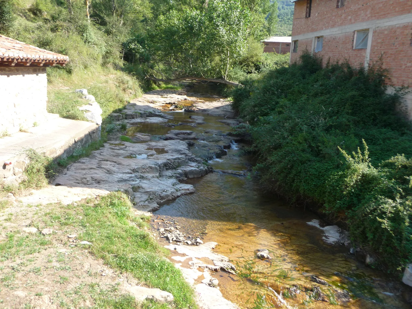 Ajamil -Rio Vargas