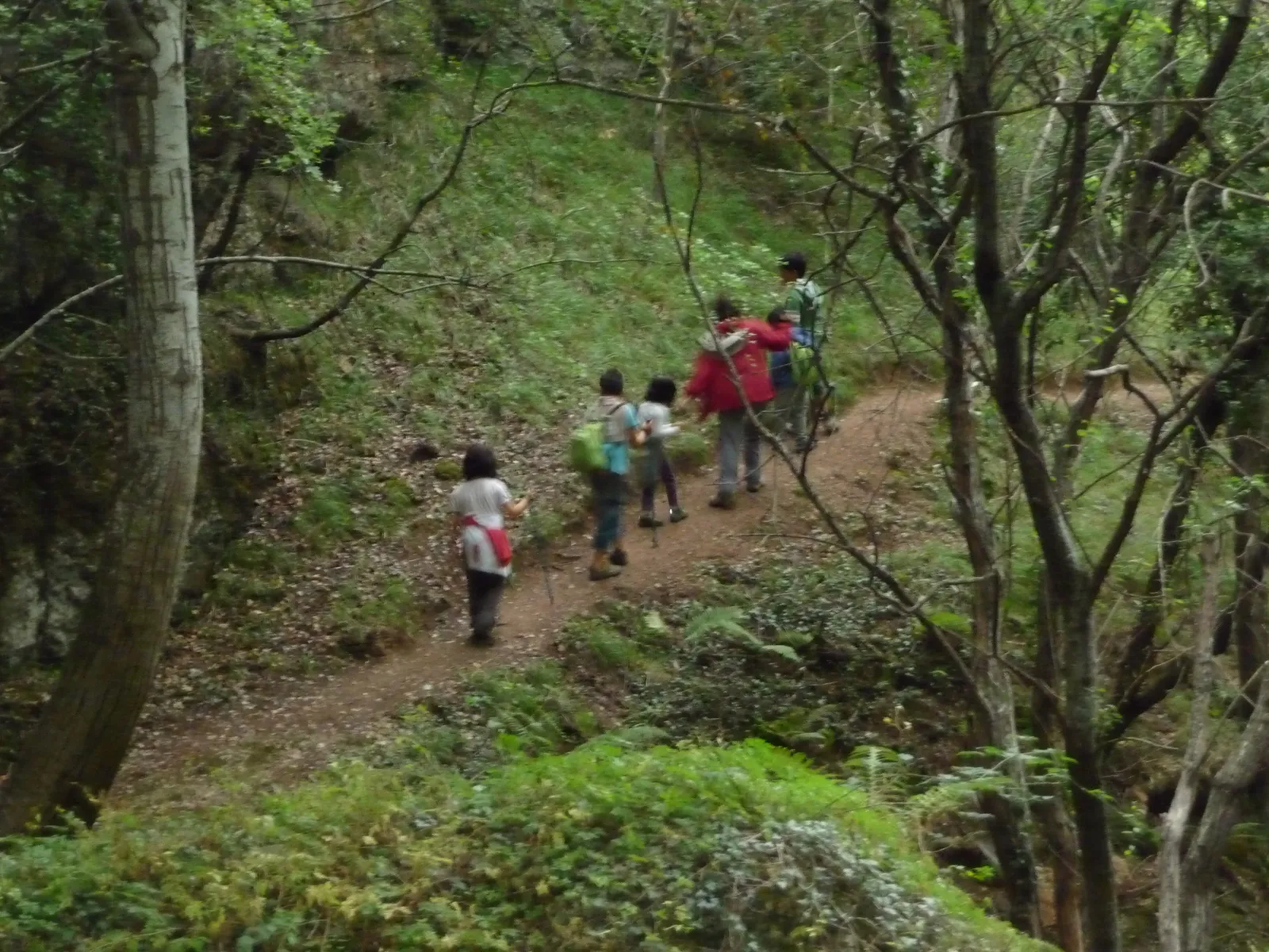 Sendero (foto 5)