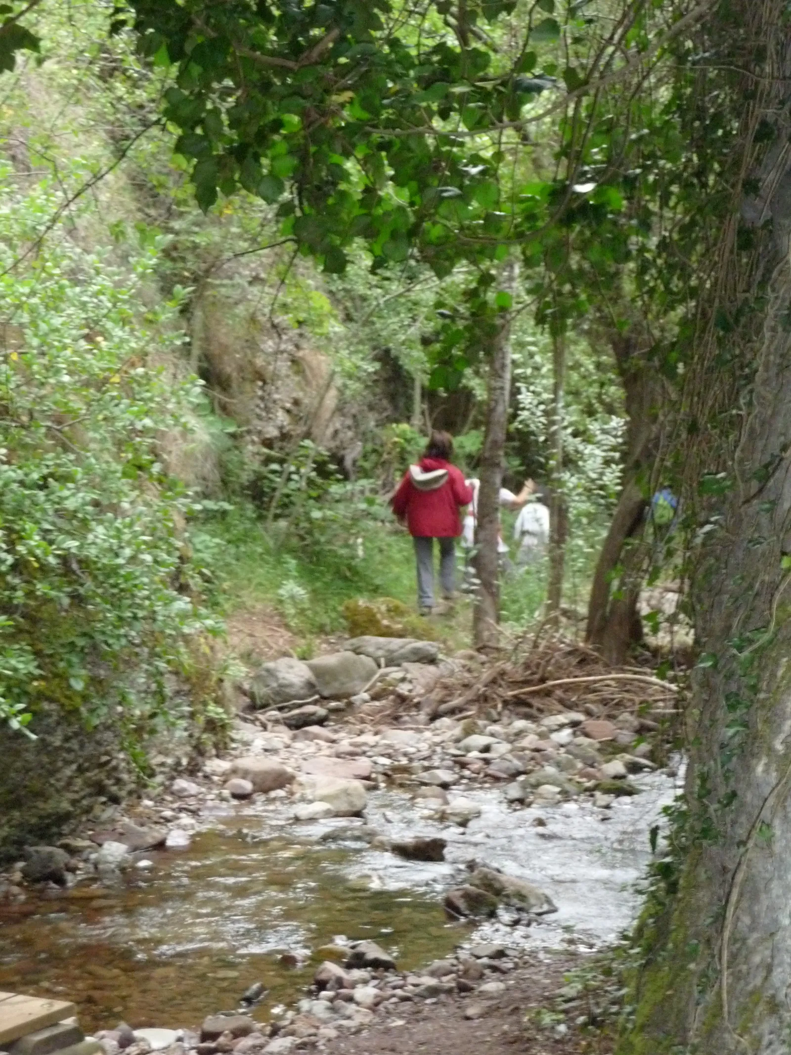 Sendero (foto 3)