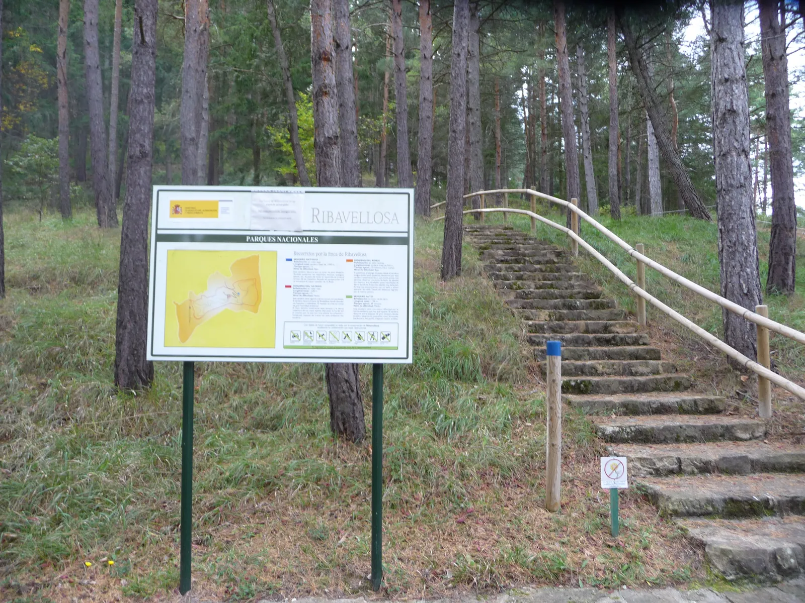 Finca de Ribavellosa