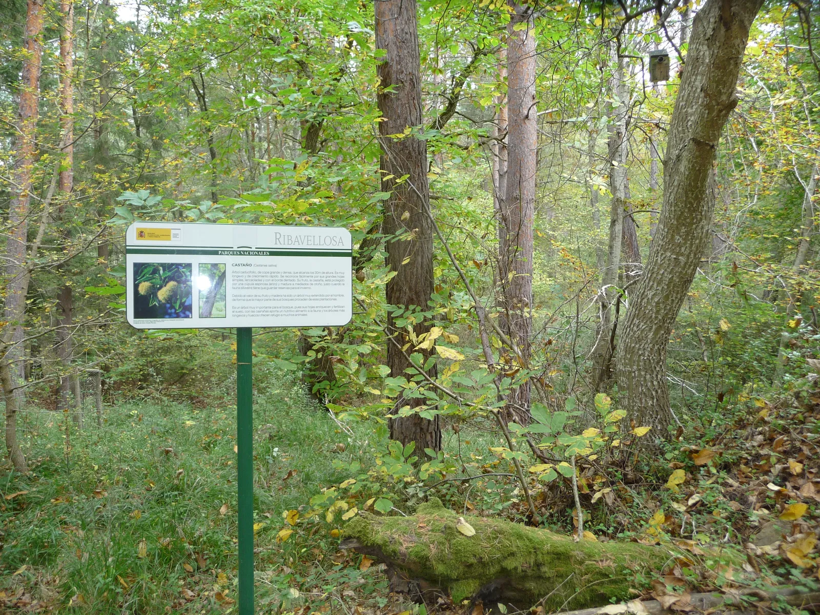 Finca de Ribavellosa