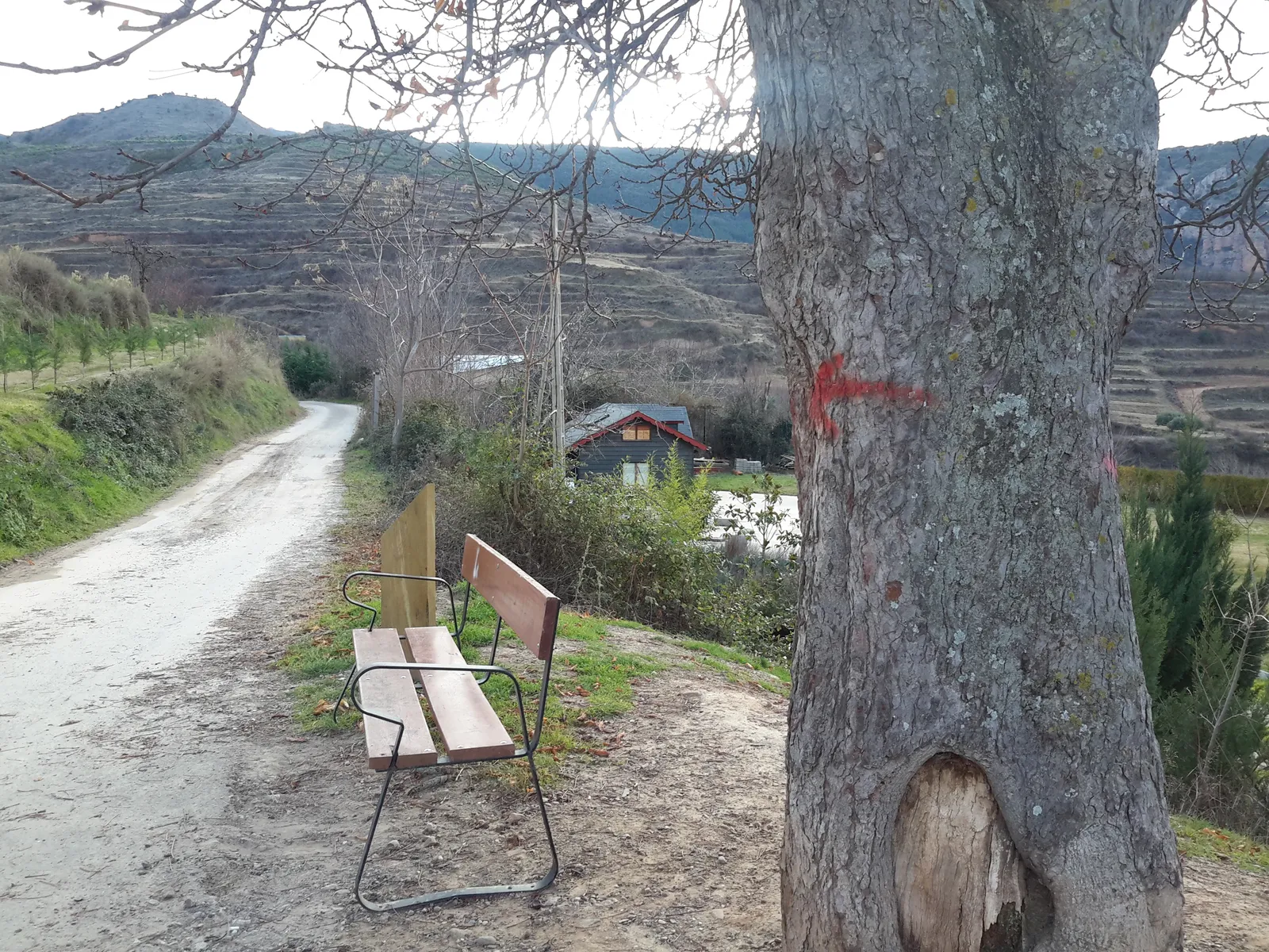 La flecha roja nos indica el inicio de la senda