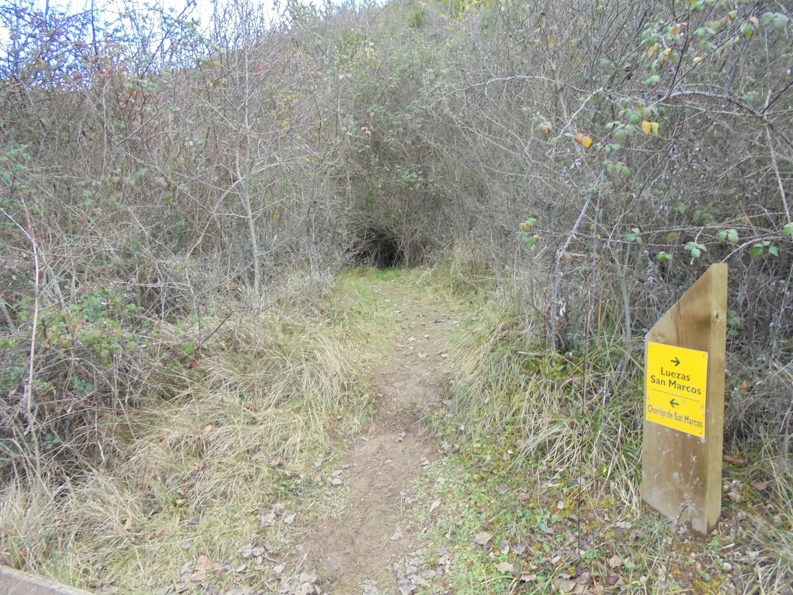 Chorrón de San Marcos