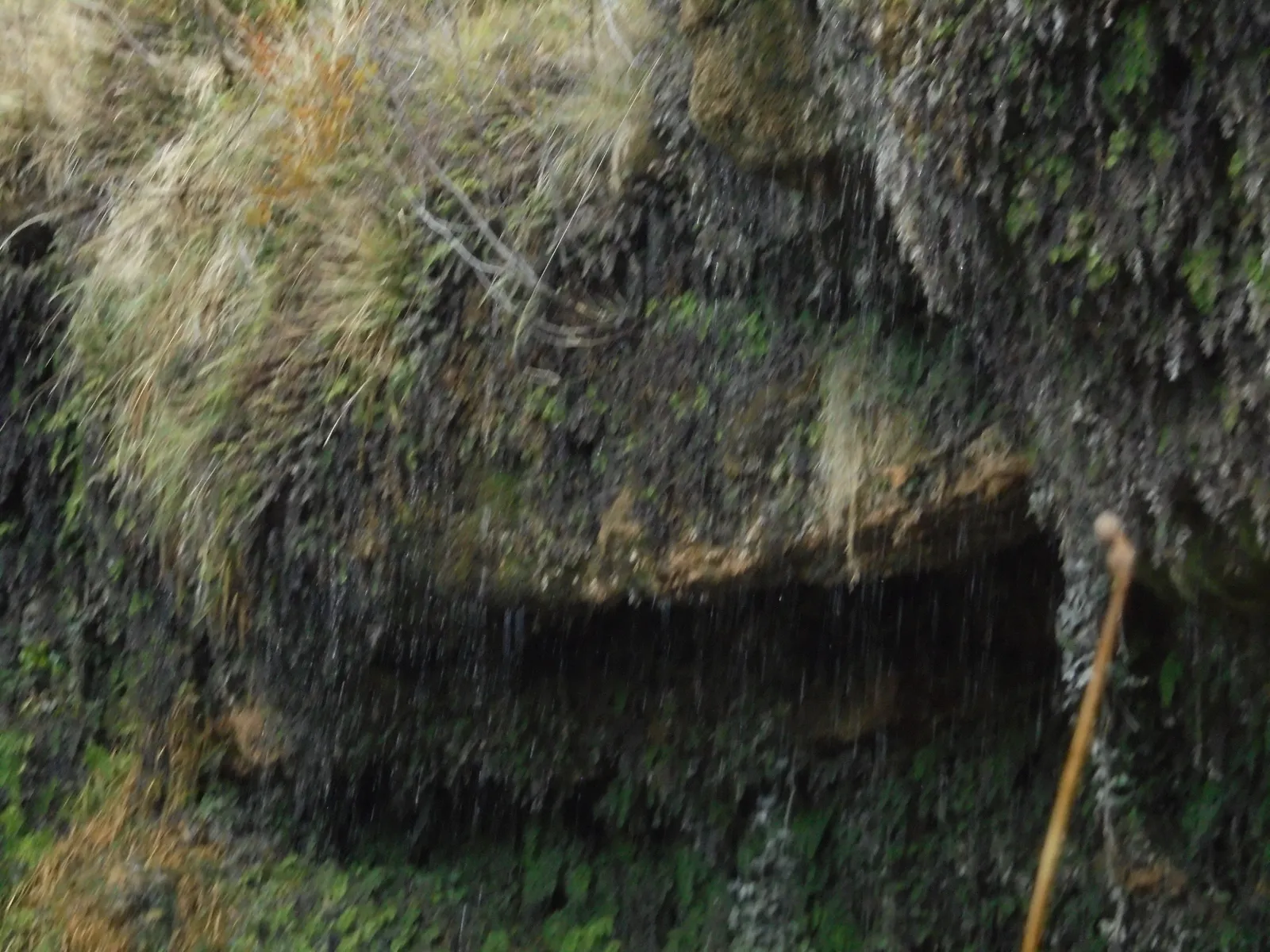 Chorrón de San Marcos