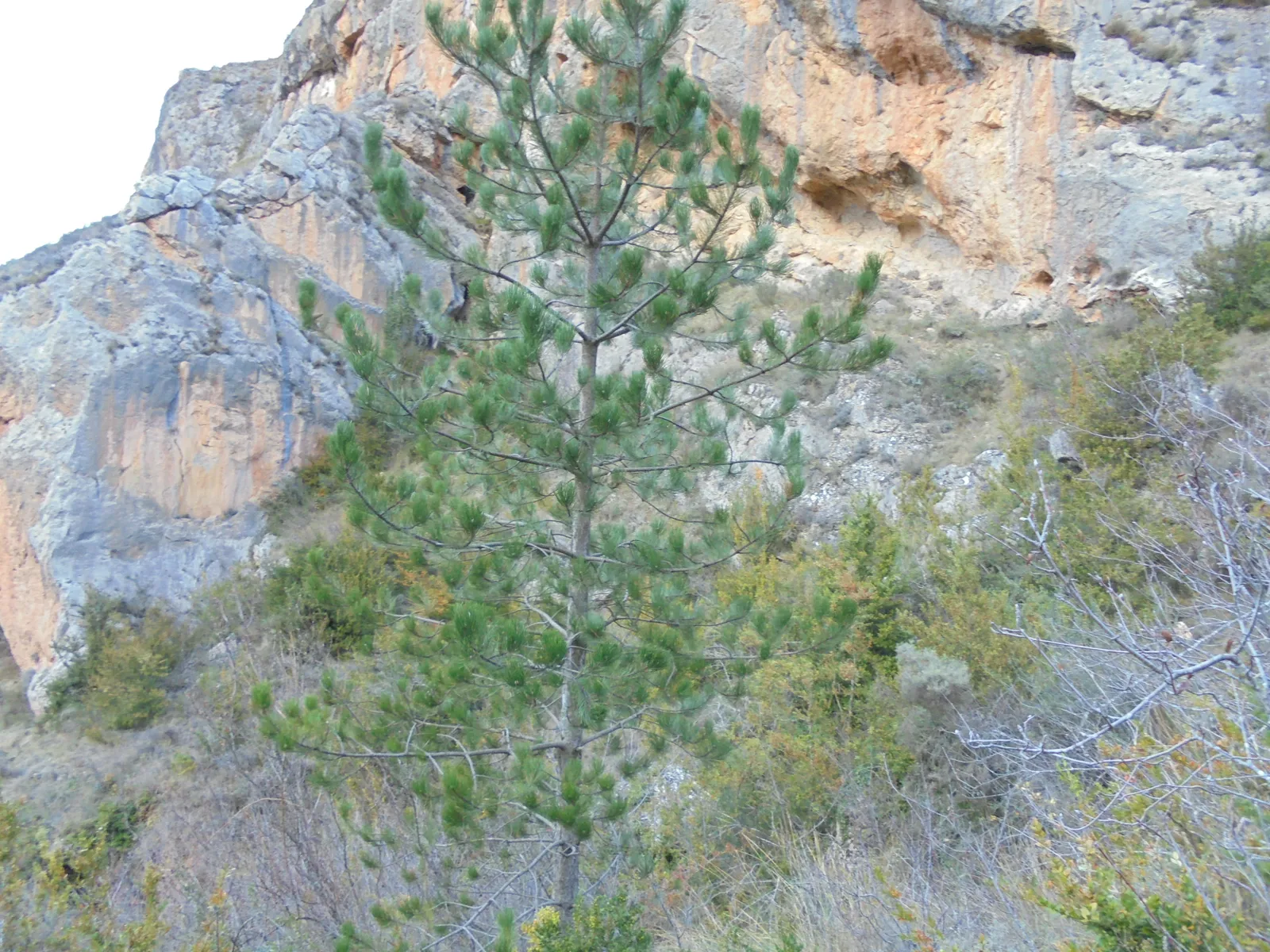 Este pino nos indica el acceso donde se encuentra el chorrón