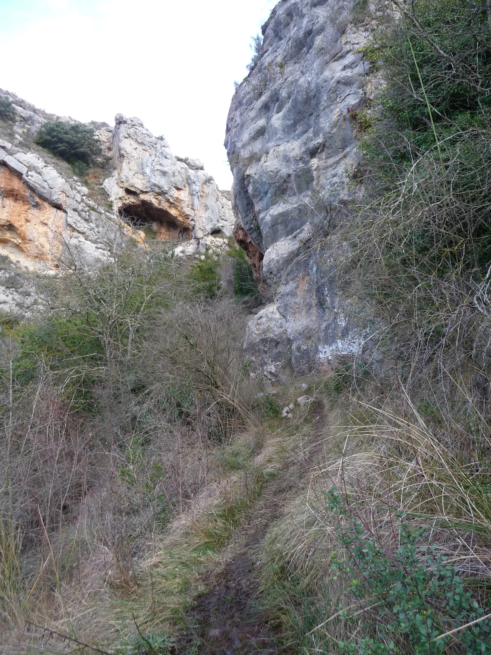 Camino al chorron