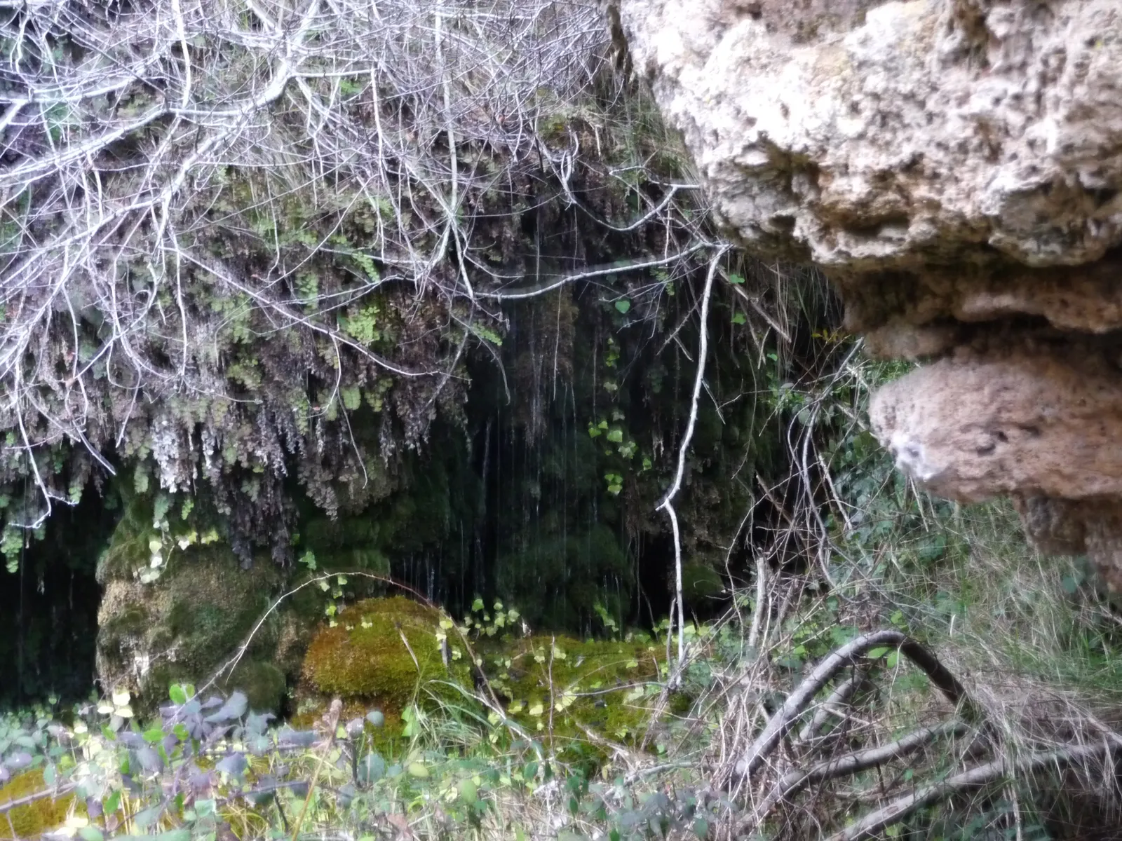 Chorrón de San Marcos