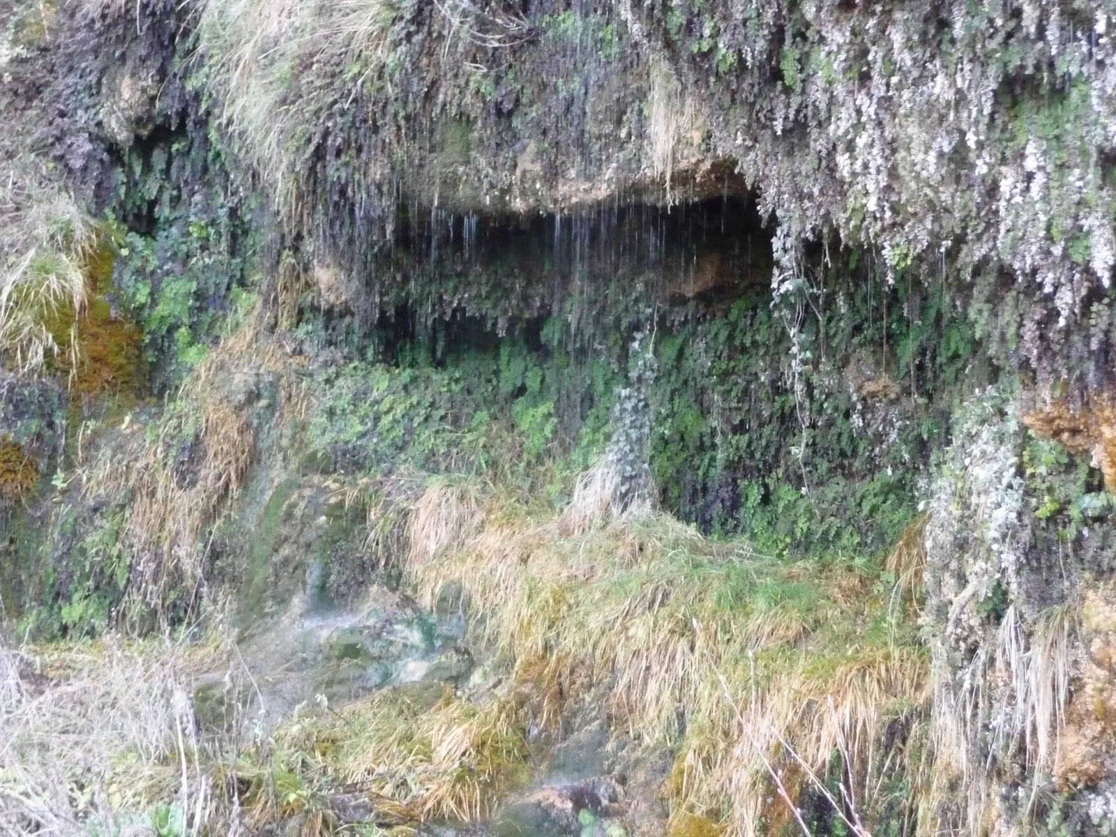 Chorrón de San Marcos