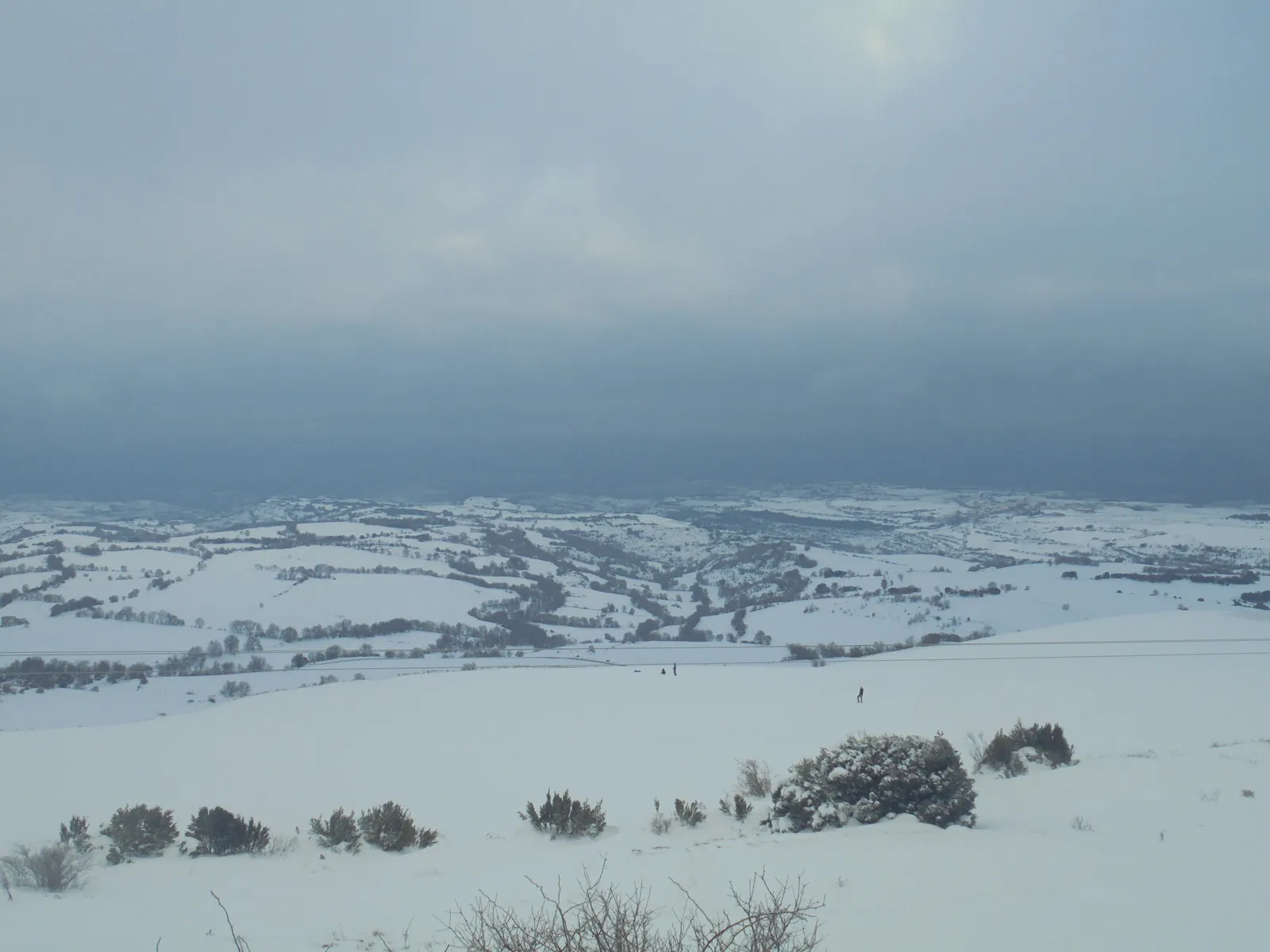 Vistas