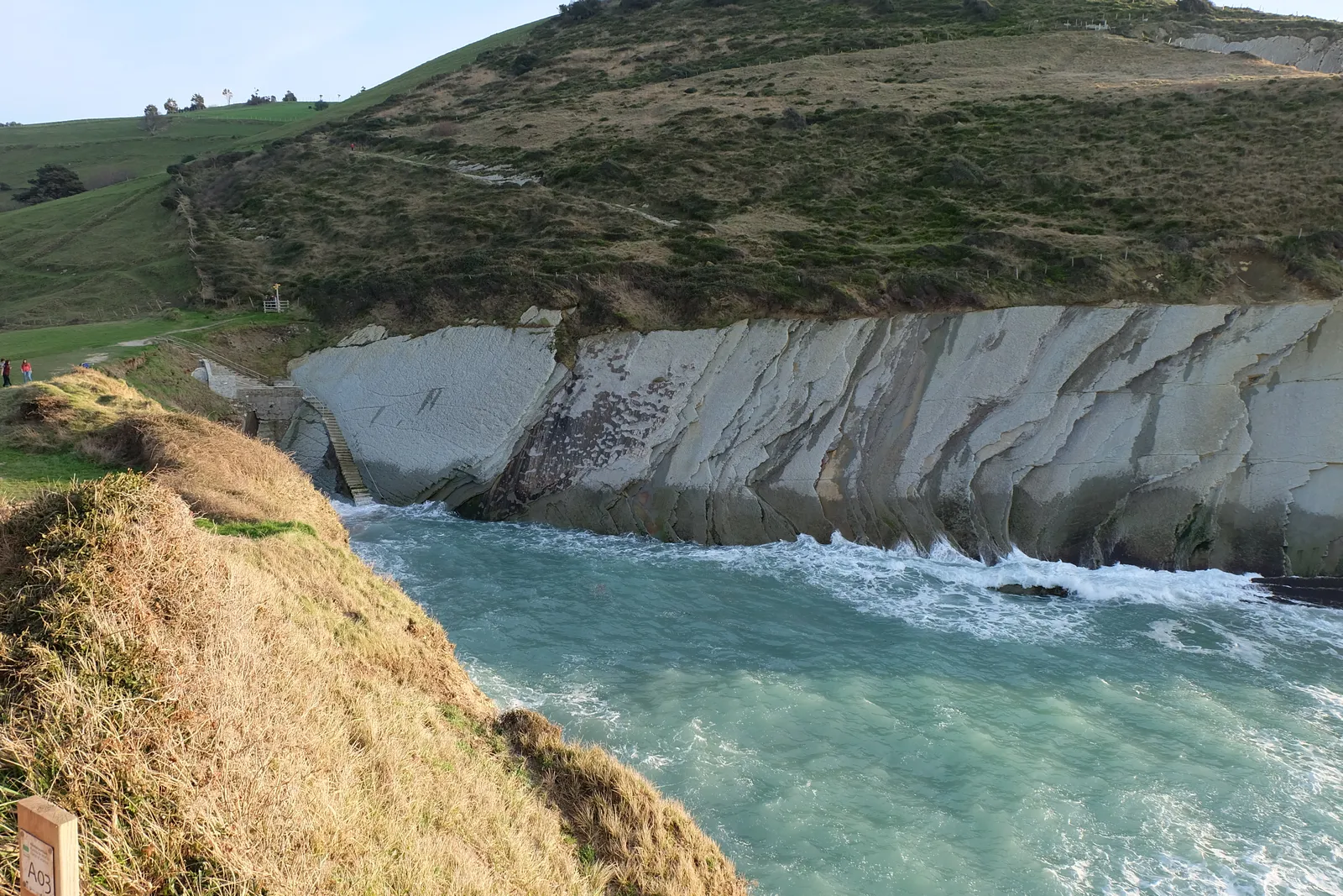 Flysch