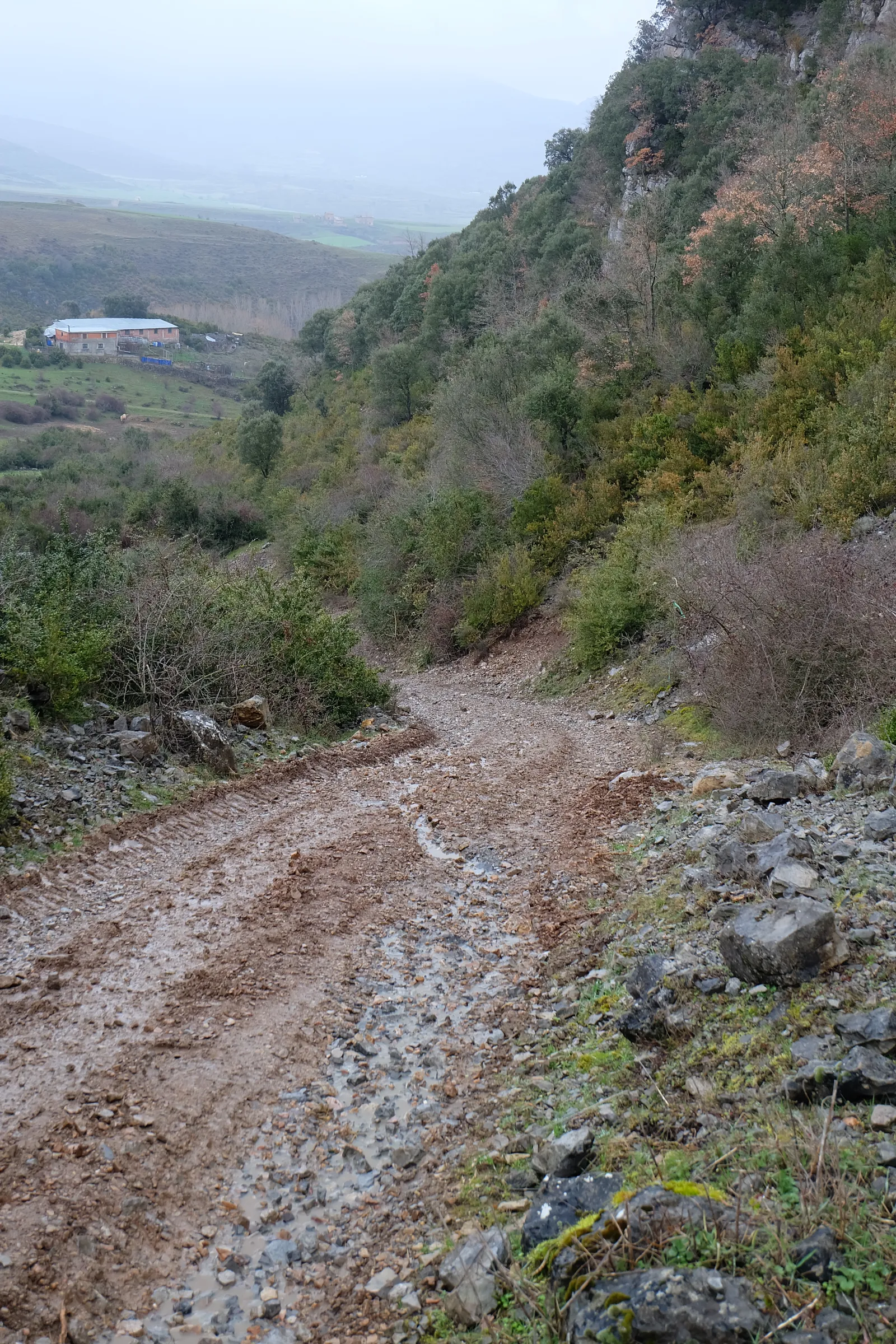 (Foto 14) Camino a las cuevas