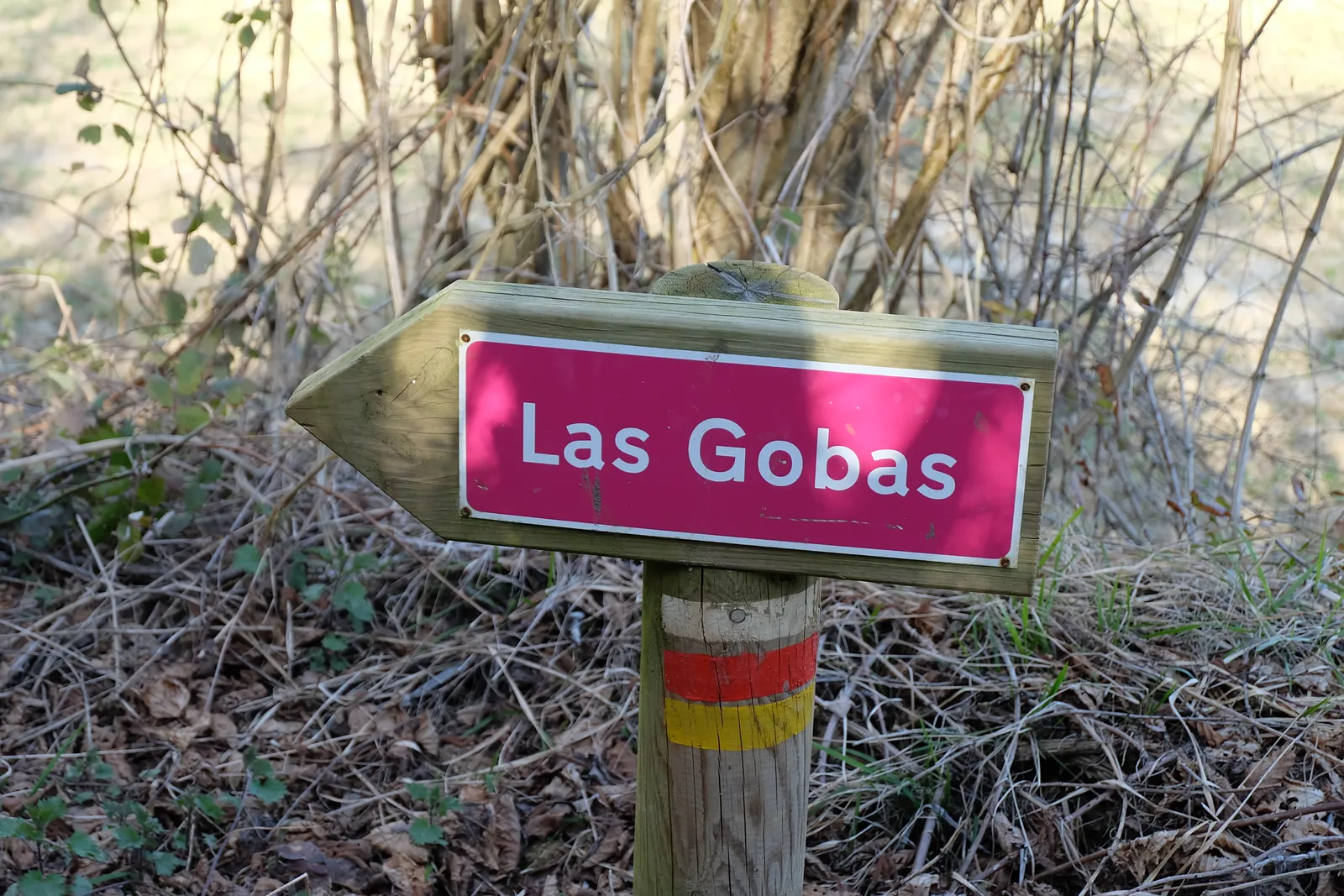 Las Gobas de Laño y Santorkaria, Condado de Treviño  (Burgos)