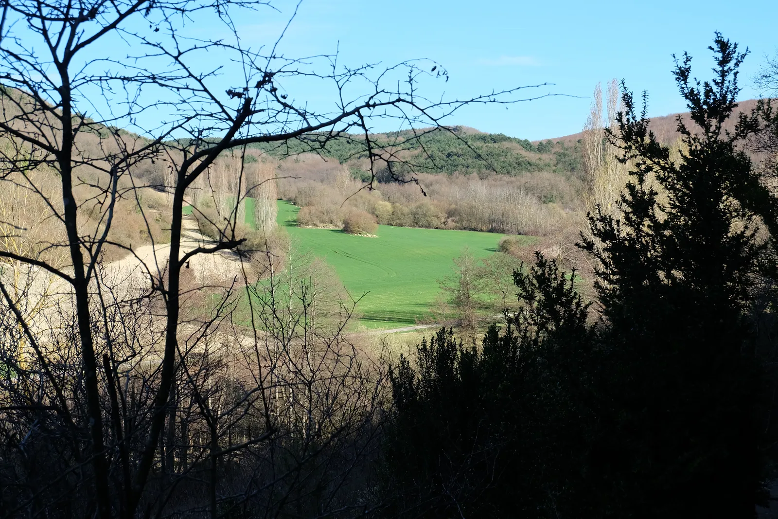 DSCF5228