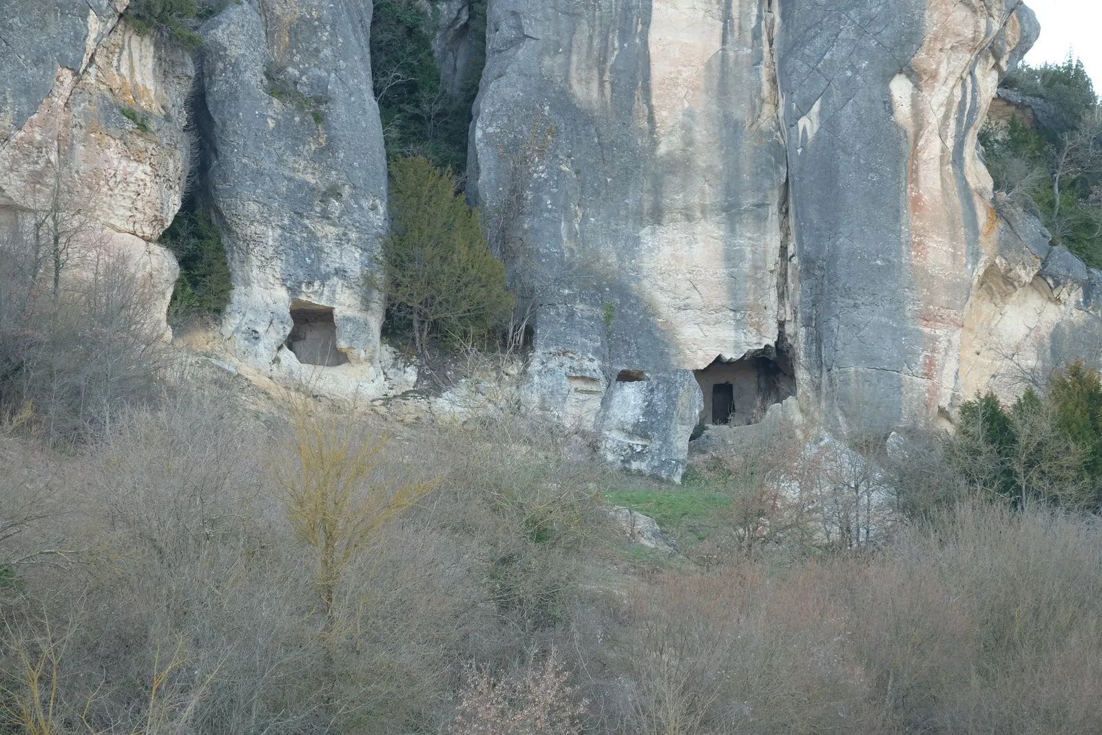 DSCF5288