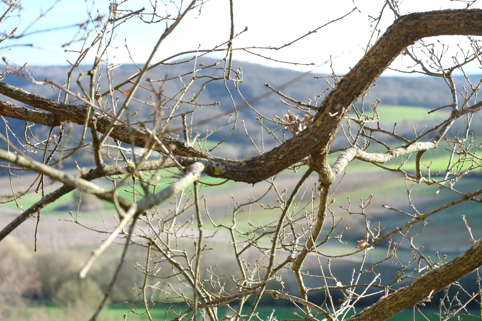 Vista del paisaje desde las Gobas