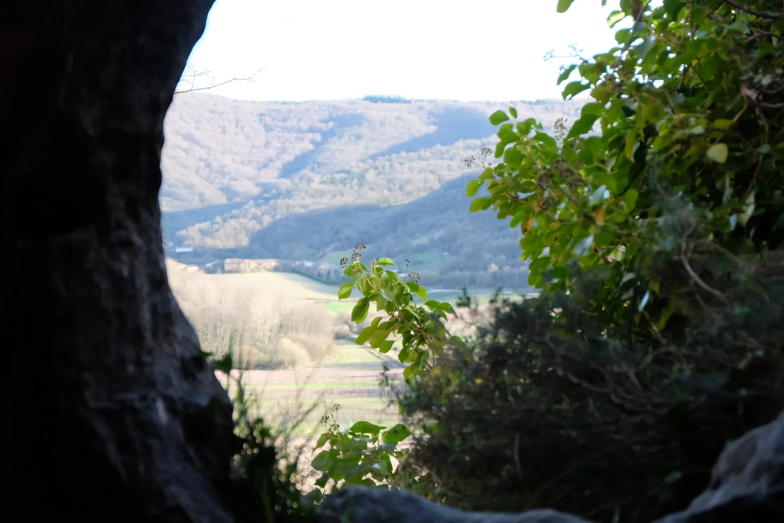 DSCF5357