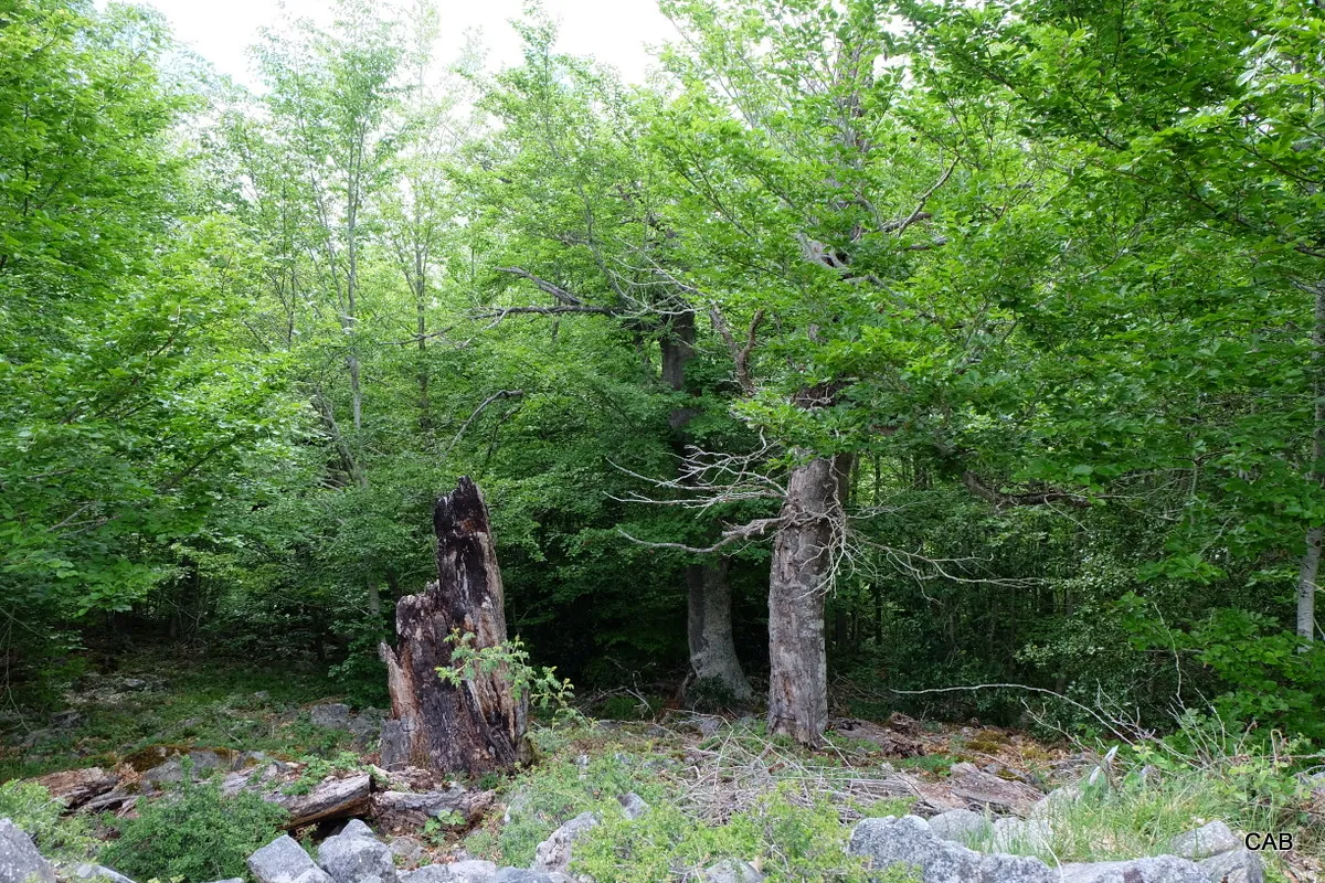 015-DSCF7179