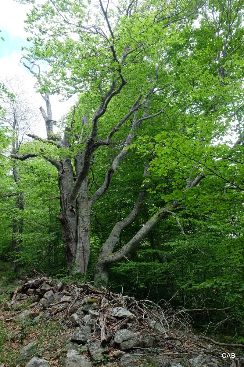 024-DSCF7188