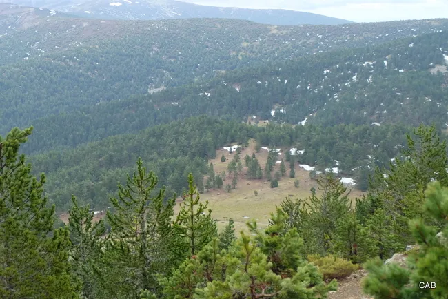 Paisaje que se puede observar de camino