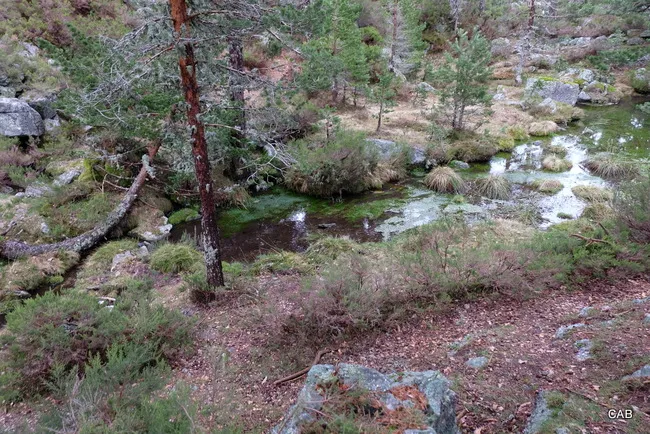 Laguna Verde