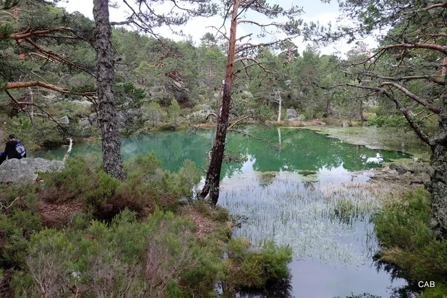 Laguna Verde