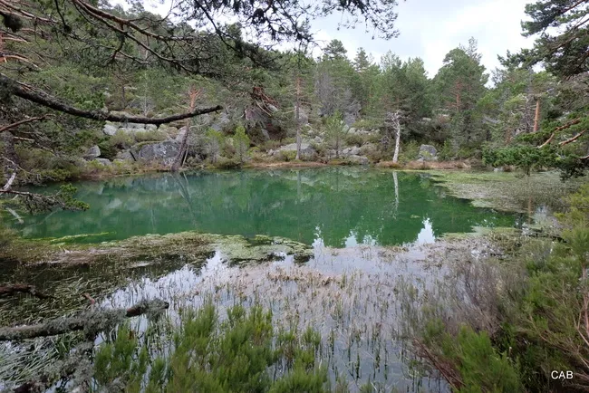 Laguna Verde