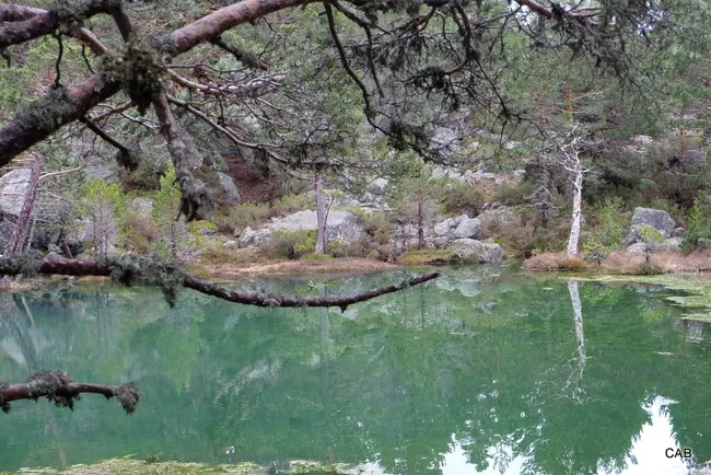 Laguna Verde (Soria)