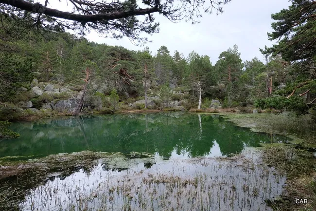 Laguna Verde