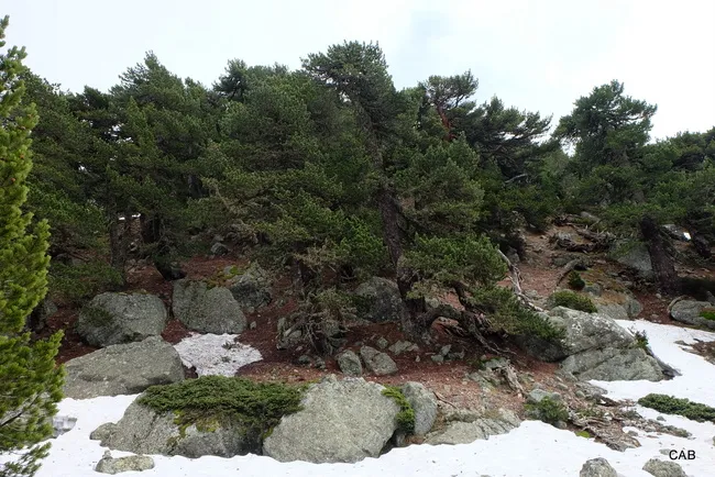 Paisaje