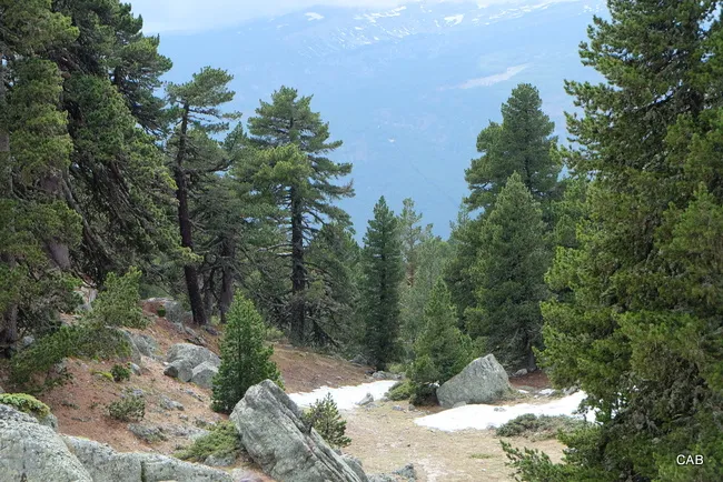 Paisaje camino a la Laguna