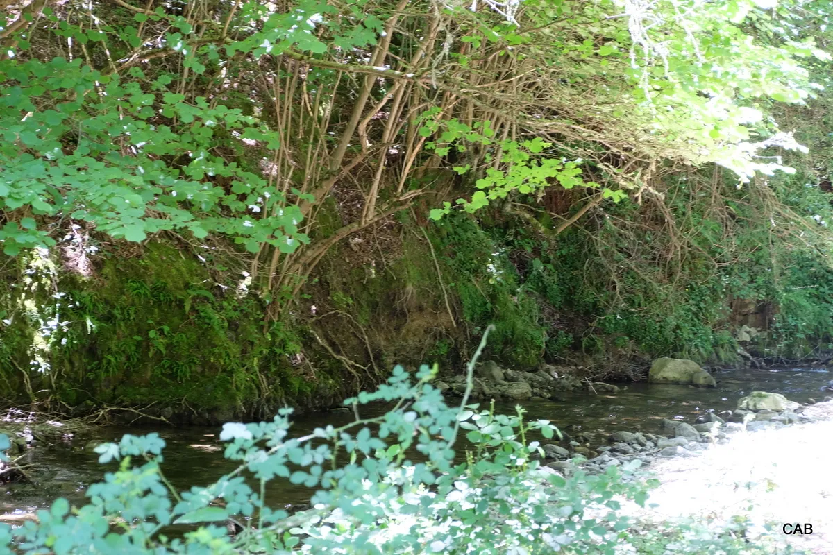 Área recreativa la Eméndula .-Río Cárdenas.-(Foto 13)