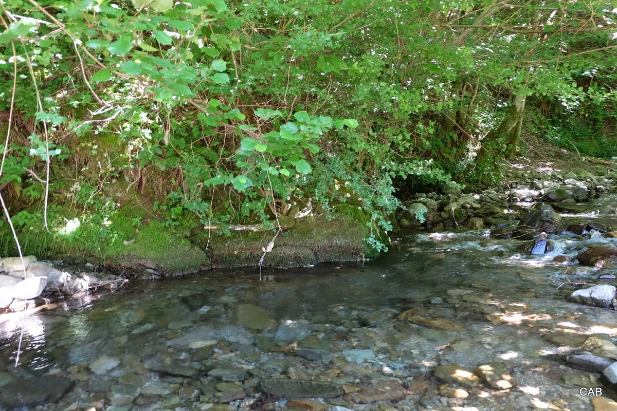 Río Cardenas (Foto 14)
