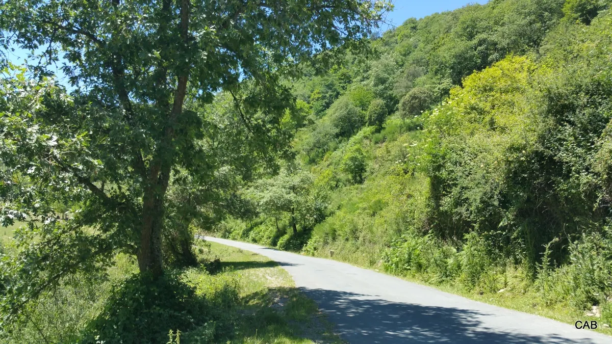 Carretera llegando al área (Foto 5)