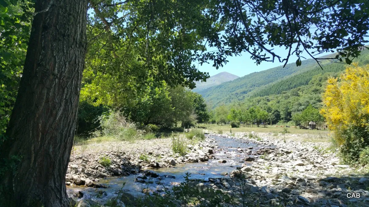 Río Cárdenas (foto12)