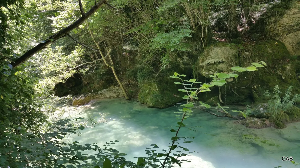 12-20150712_144543