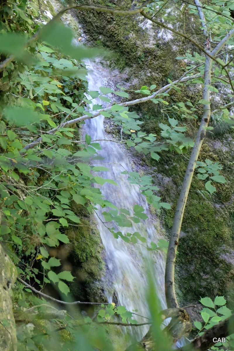 15-DSCF8539