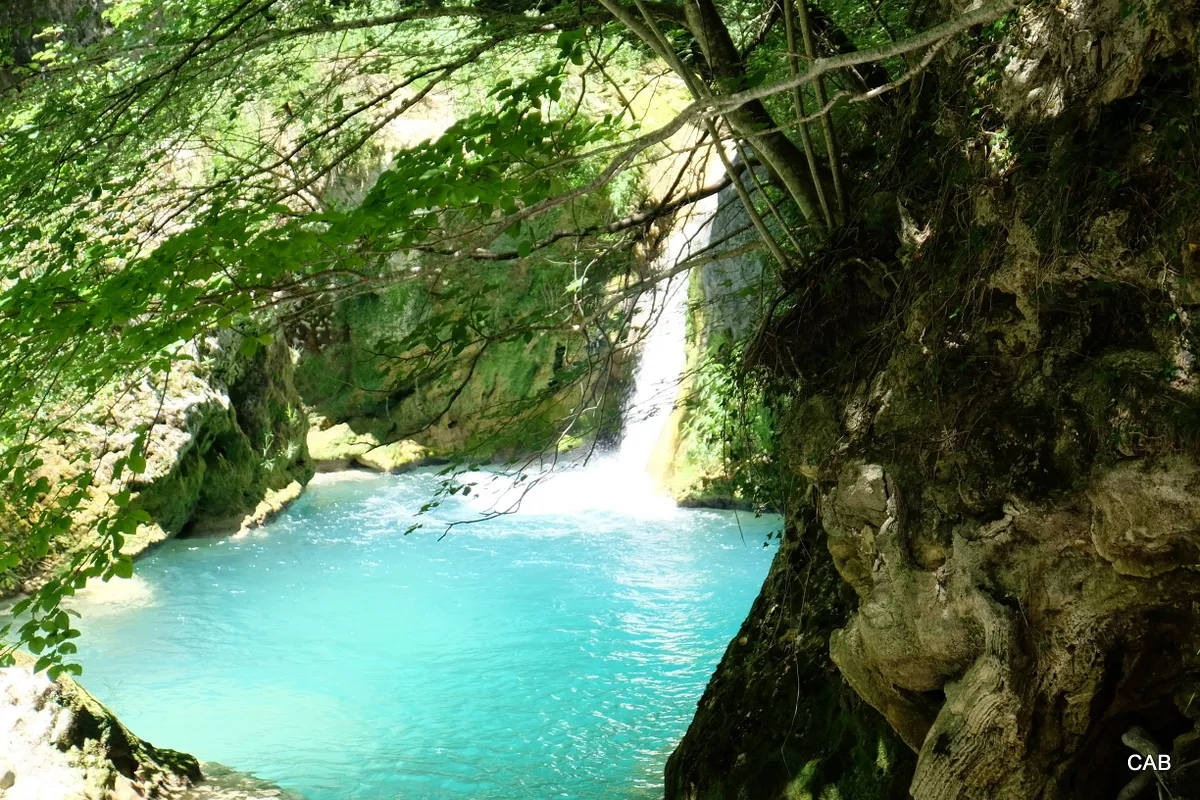 22-DSCF8433