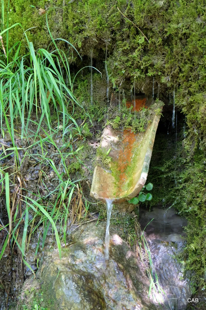29-DSCF8331