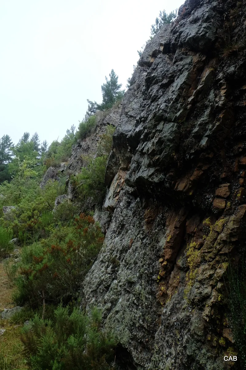 Camino hacia Aldeanueva de Cameros