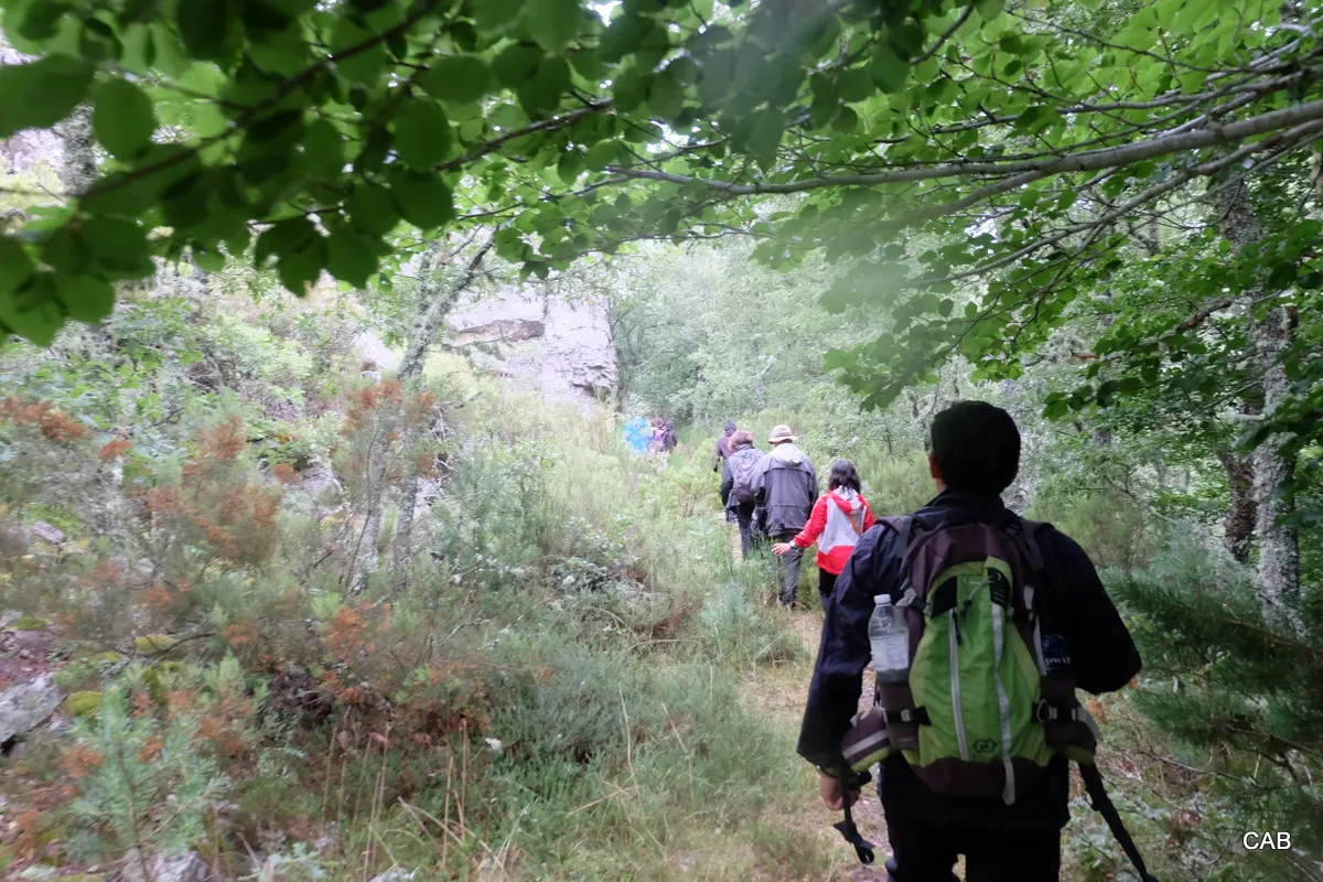 Camino hacia Aldeanueva de Cameros