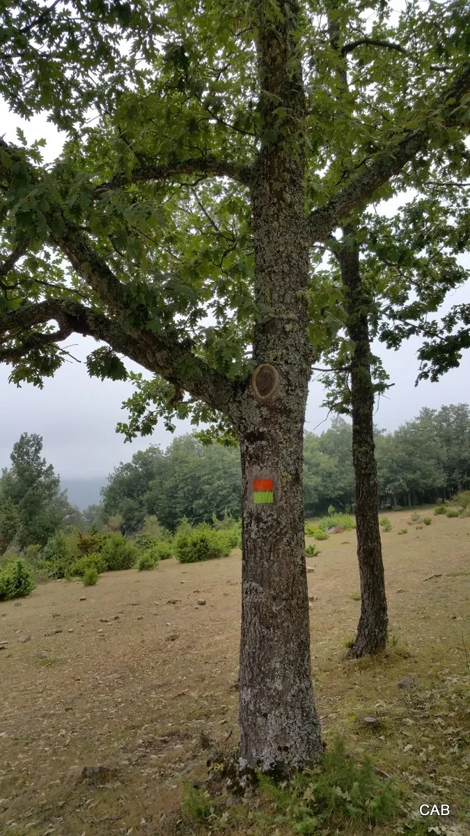 Señalización de la ruta
