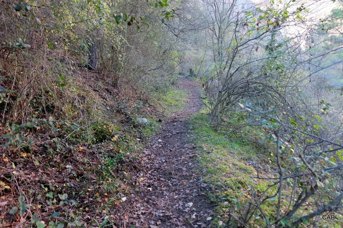 Camino al Castillo de los Moros