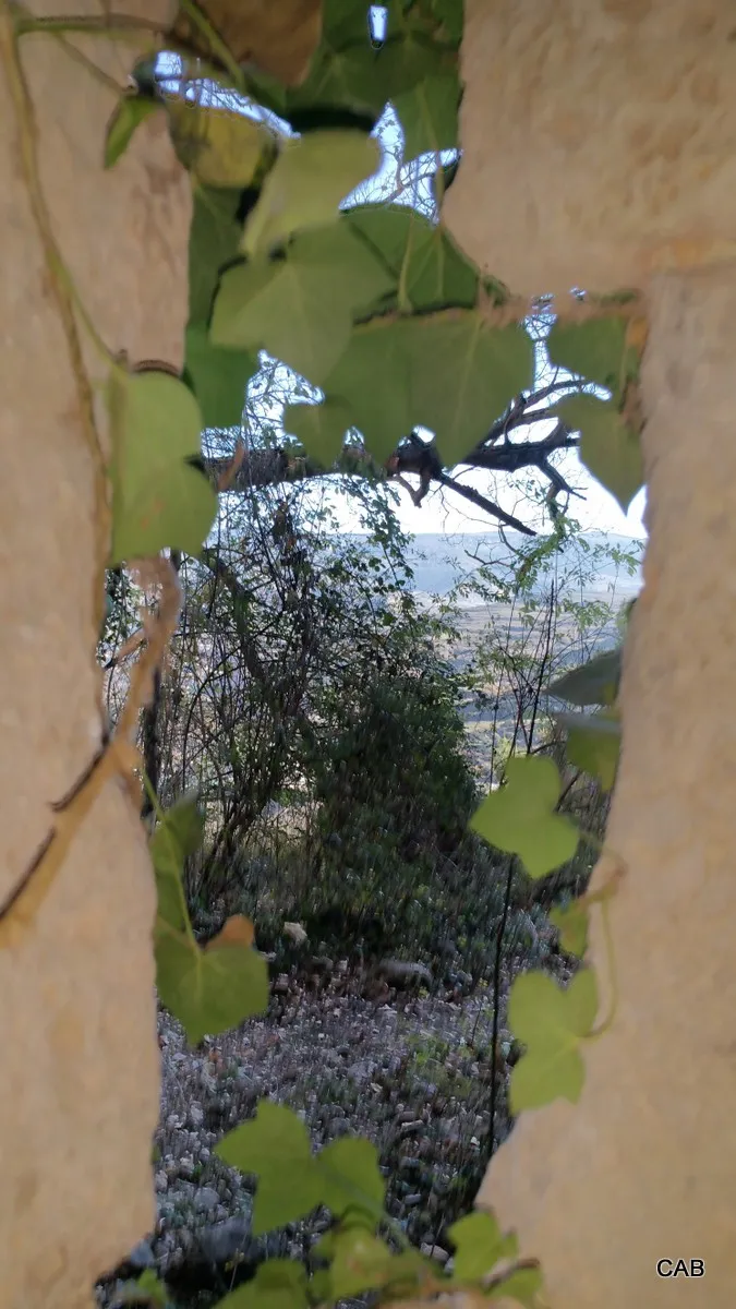 Castañares de las Cuevas. Castillo de los Moros (La Rioja)