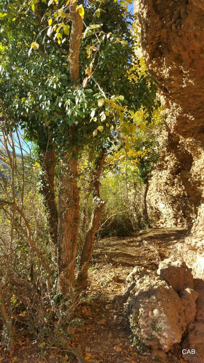 Camino a las cuevas