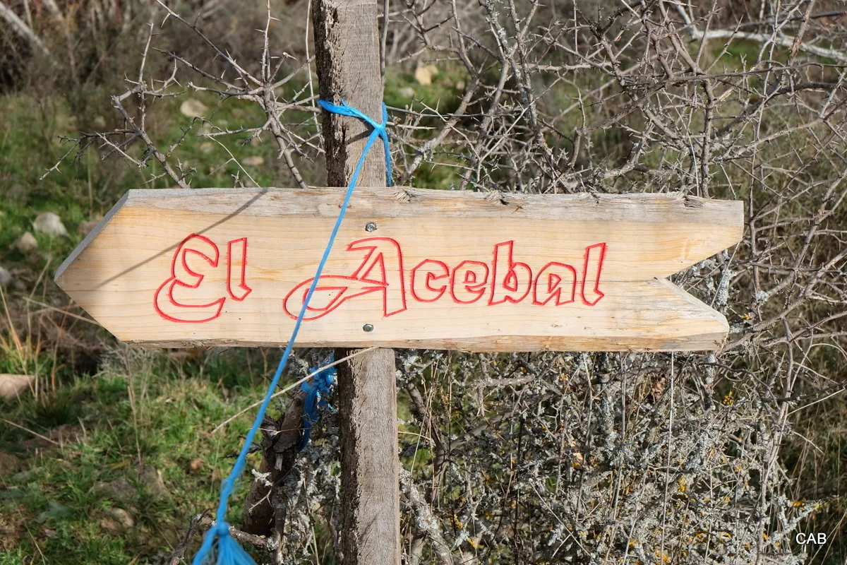 El acebal