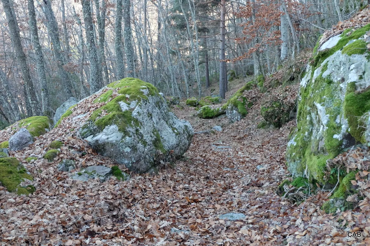 Vía Romana a La Laguna de la Nava