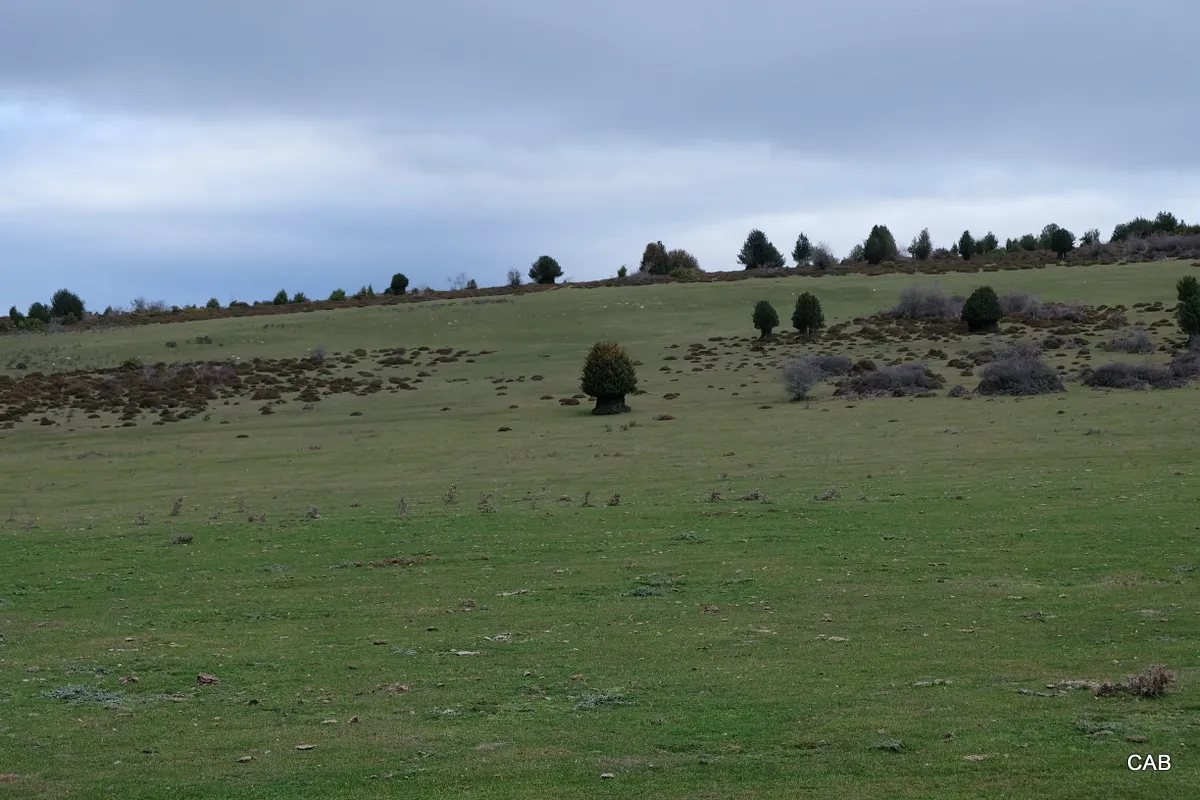 086-DSCF0912