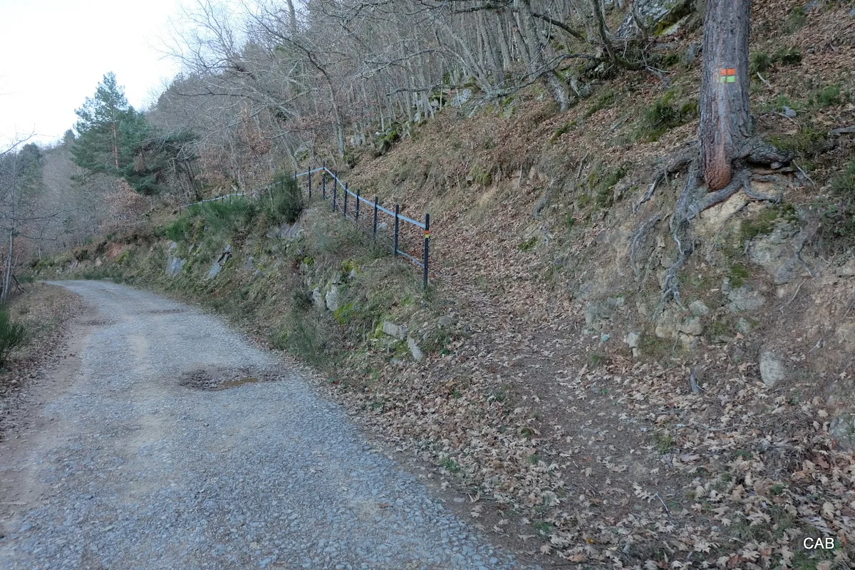 Vía Romana Camino de la Laguna de la Nava