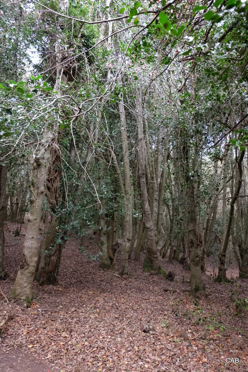 116-DSCF0943